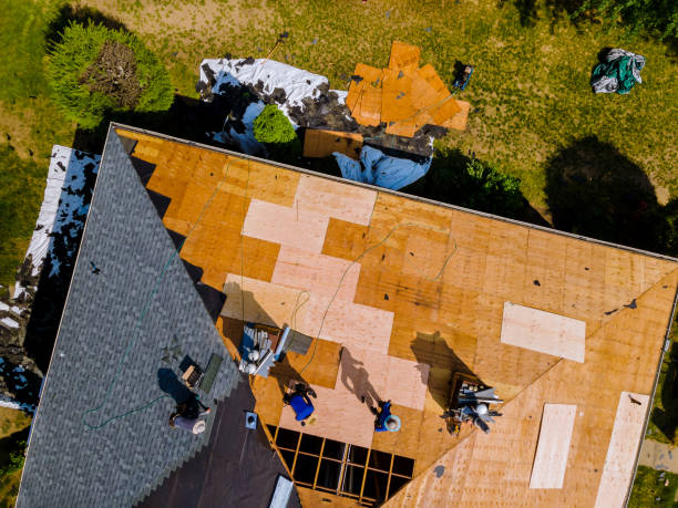 Best Roof Gutter Cleaning  in Edisto, SC